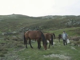 "Les Paysans" Bonus 4/9 Les Chevaux de Pierrot