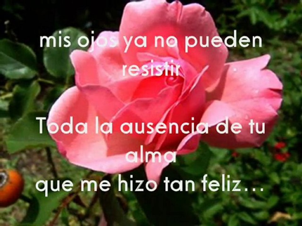 Fallen-Randy Crawfort & Presuntos implicados