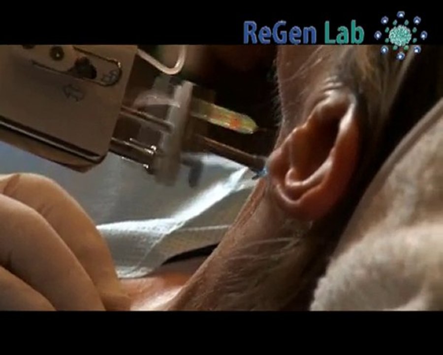 RéGen Lab - Salon Européen -