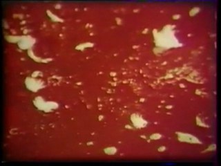 "Les Paysans" Bonus 6/9 Poulet PAC