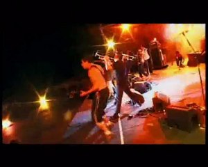 reportage manu chao (babylon's fever) 6/6