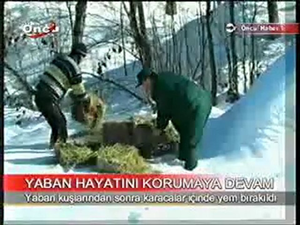 Kurugol de Yemleme 02.02.2008 (Oncu TV)