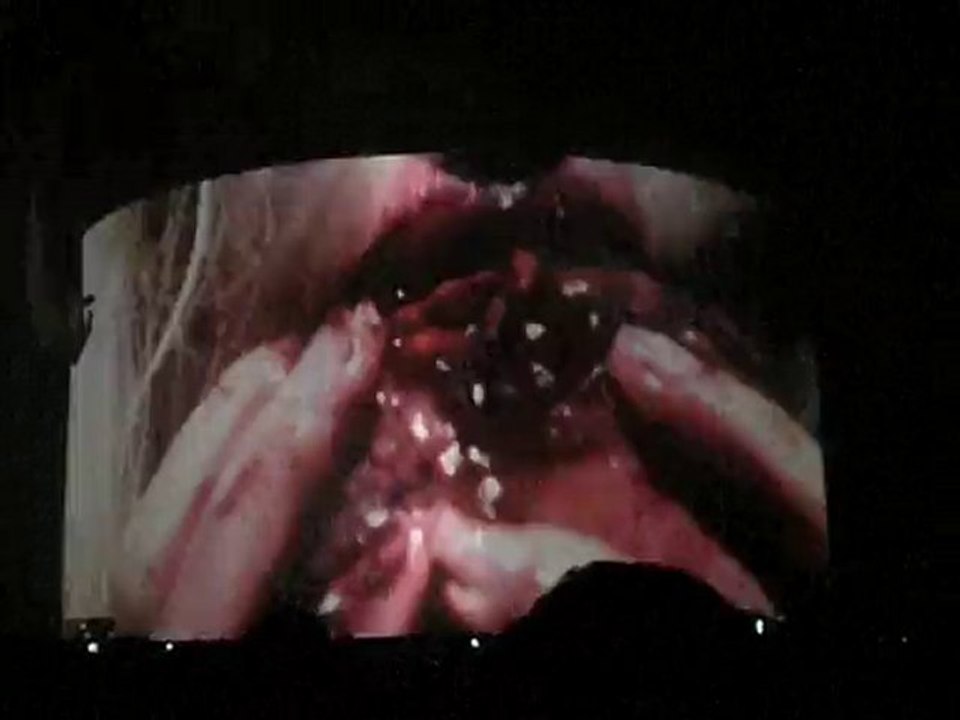 concert lady gaga anvers partie 5