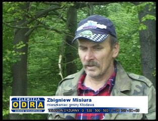 Pierwsze grzyby po deszczu