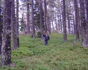 Doğankent Doymuşköyü ve yayla Tanıtım video-2