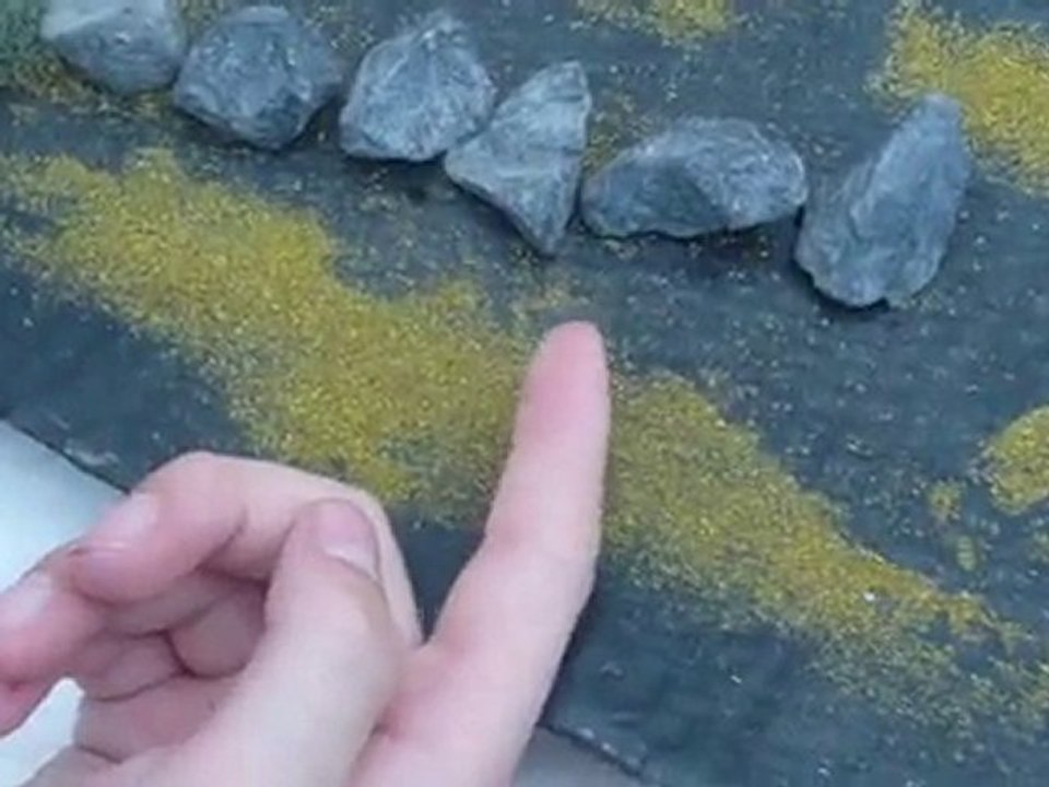vidéo du terrain de wax