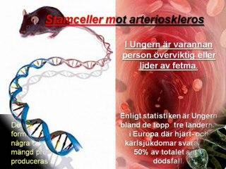 Matrix Stemcell Enhancer Swedish text -Stamceller