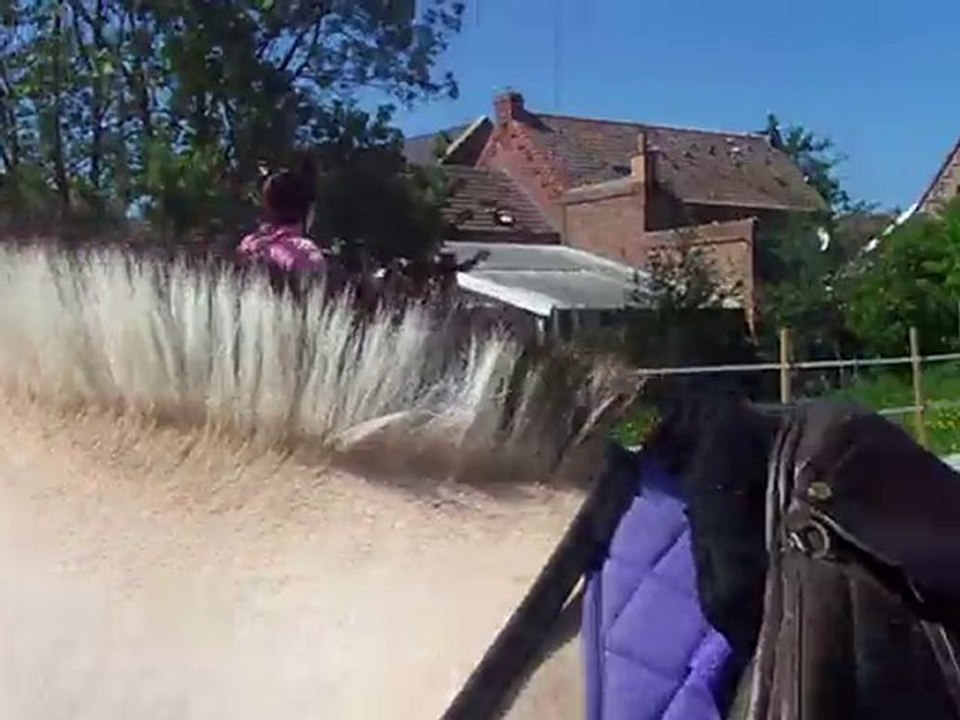 saut d'obstacle