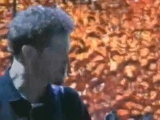 Metallica - No Leaf Clover HD