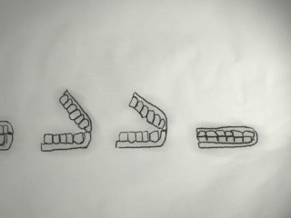 Une petite histoire des festivaliers et des cinéphiles