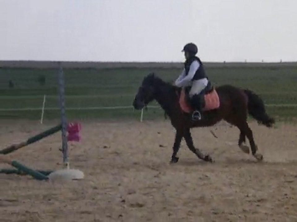 marion et malibu