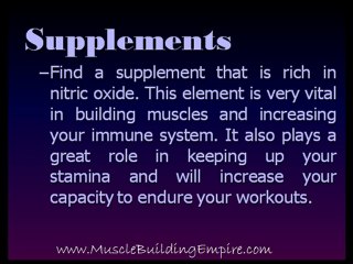 muscle building programs