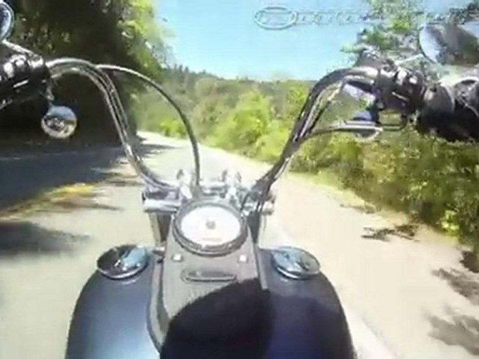 Harley-Davidson Street Bob vs. Triumph Thunderbird