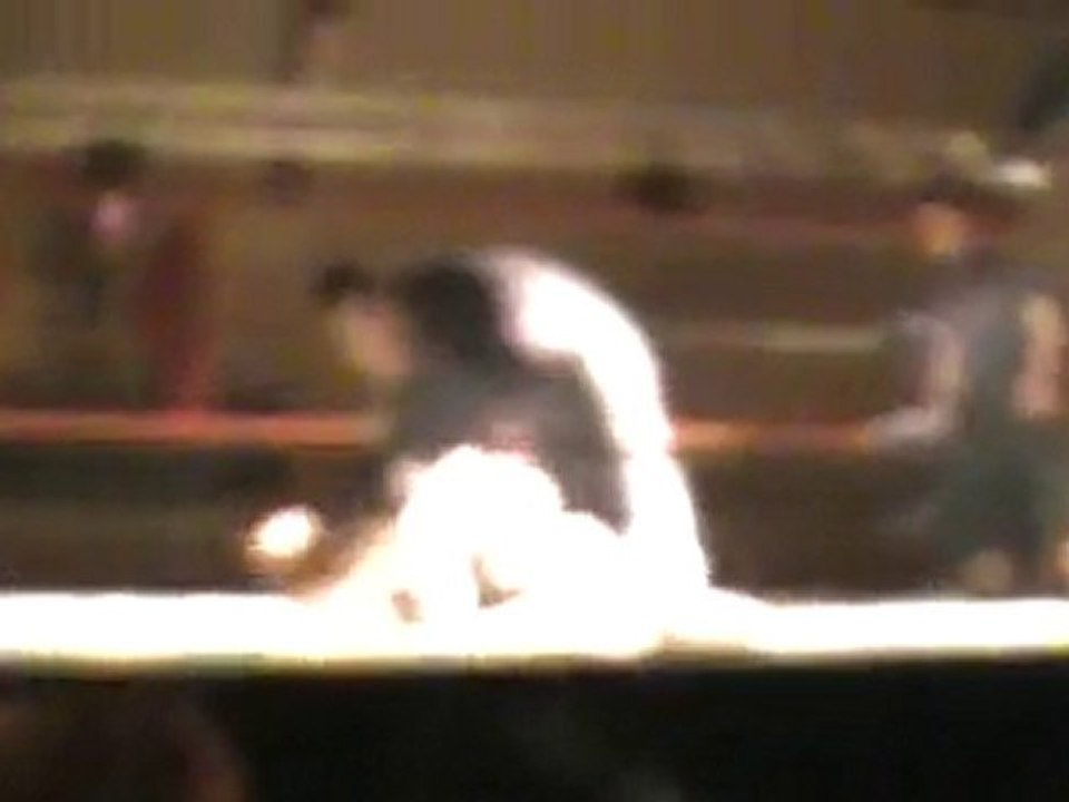 Show BWS-BCWF à Herstal avril 2010 - Main Event