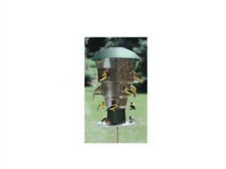 Squirrel Proof Feeders
