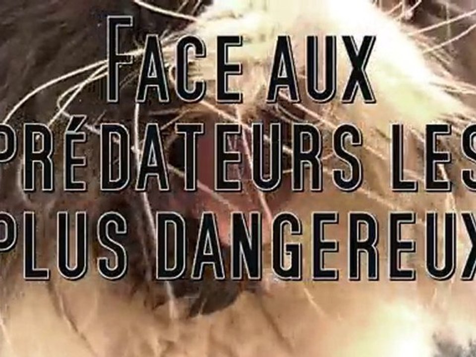 Les Survivors