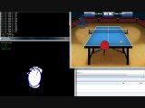 Virtual Ping Pong 2010 - Work in Progress