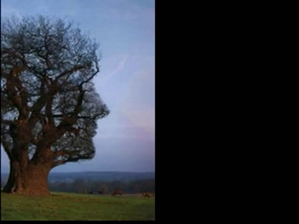 Herşey sende gizli-Bir Can Yücel şiiri