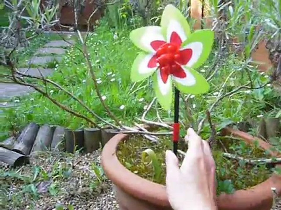 dans le jardin 1