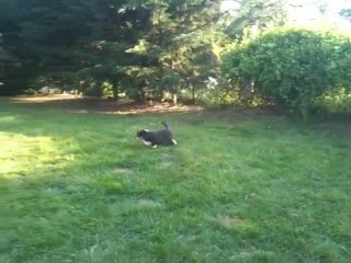 Fidji Red the First One en pleine découverte...