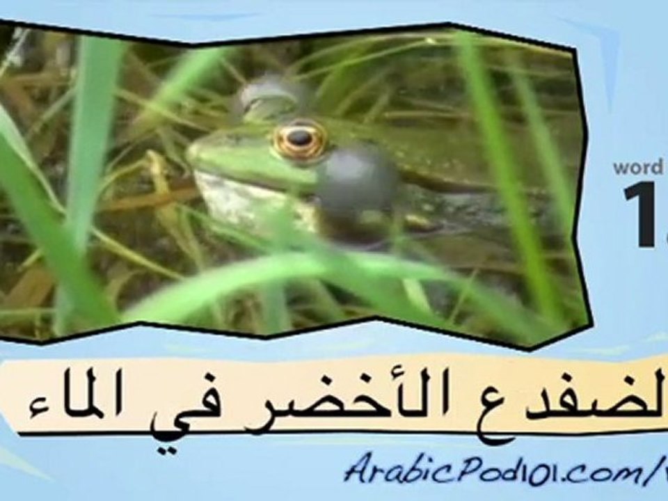 Learn Arabic-Learn with Arabic amphibians and reptiles video