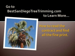 San Diego Tree Trimmer