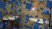 Hudson Valley Granite countertops and Bathrooms