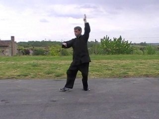 3° duan-1°part-Yangjia Michuan Taiji Quan