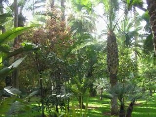 Jardin Majorelle Marrakech