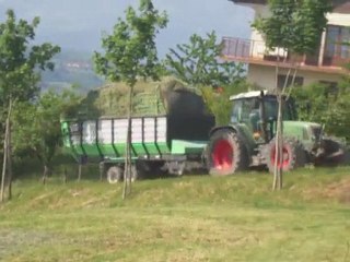 ETA  DEGEORGES FENDT 716