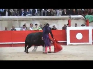 NIMES, 20 MAI 2010 : APARICIO L' ARTISTE