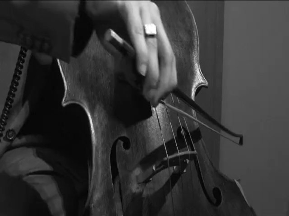 Au Printemps - Maxime le Forestier - Nature Capitale