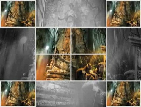 GÜLÜN RENGİ & SERDAR ORTAÇ 2010