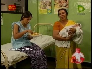 Paba 20 05 2010 - 563 Part 1flowerbest.blogspot.com/