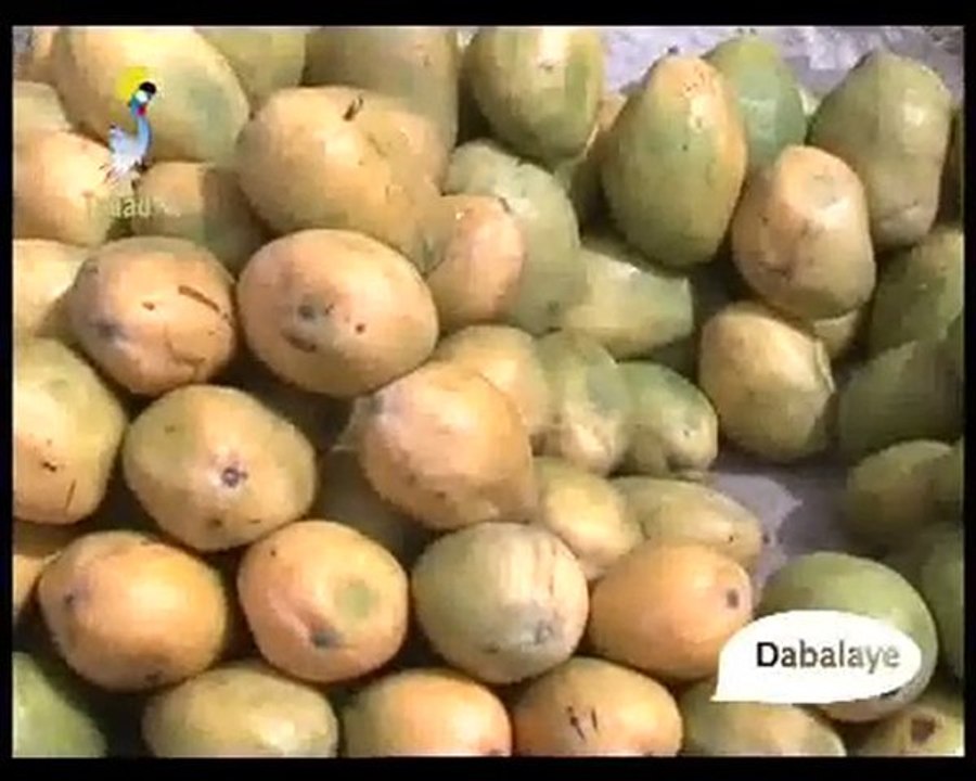 DABALAYE FRANCAIS  DU 20/05/2010 PAR TCHADONLINE.TV