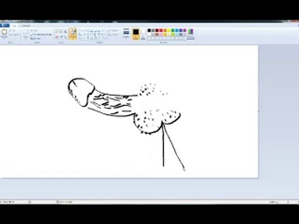 inci2
