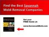 Mold Remediation Contractors Savannah -Free Guide to Top Ex