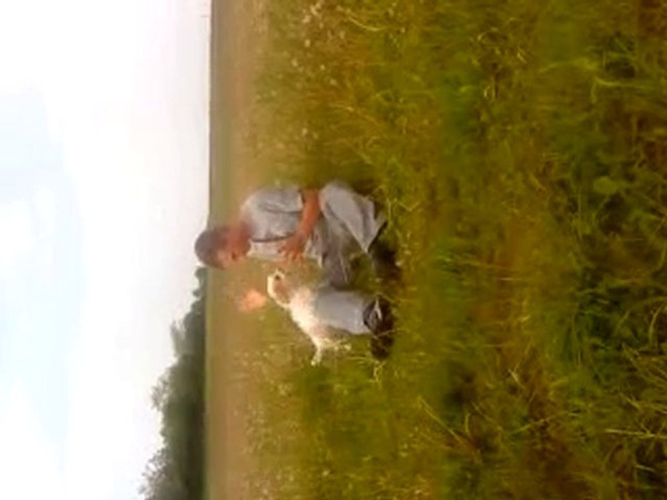 dobby et papa qui joue