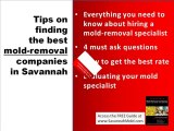 Savannah Mold Remediation Contractors – Protect Yourself