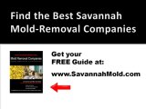 Savannah Mold Removal Company - Don't Get Ripped Off by Bad