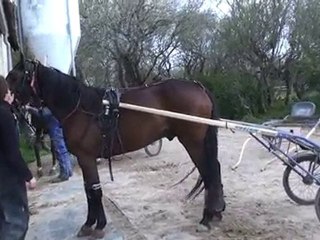 TOGETHER SE PREPARANT A ALLER EN PISTE