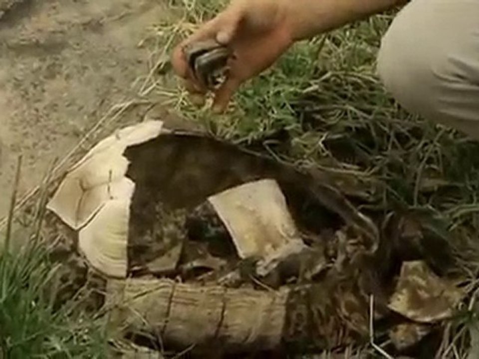 Ausgesetzt in Der Wildnis Gnadenlose Savanne Teil 2