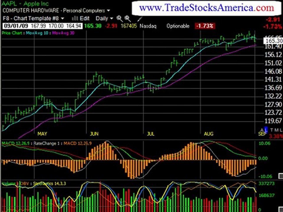 Stock Market Education