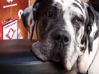 rock metal au ferrailleur