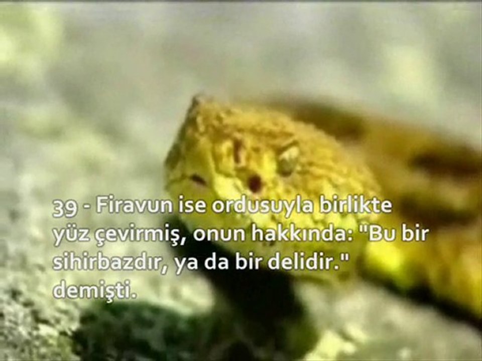 KUR'ANI KERİM-Zariyat Suresi  Shuraim