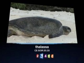 Sur France Télévision ce soir | Alain GHAZAL (21 Mai 2010)