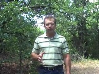 What is the best keyword density?