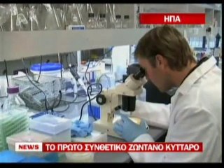 pagritianews eftiaxan zoh se ergastirio