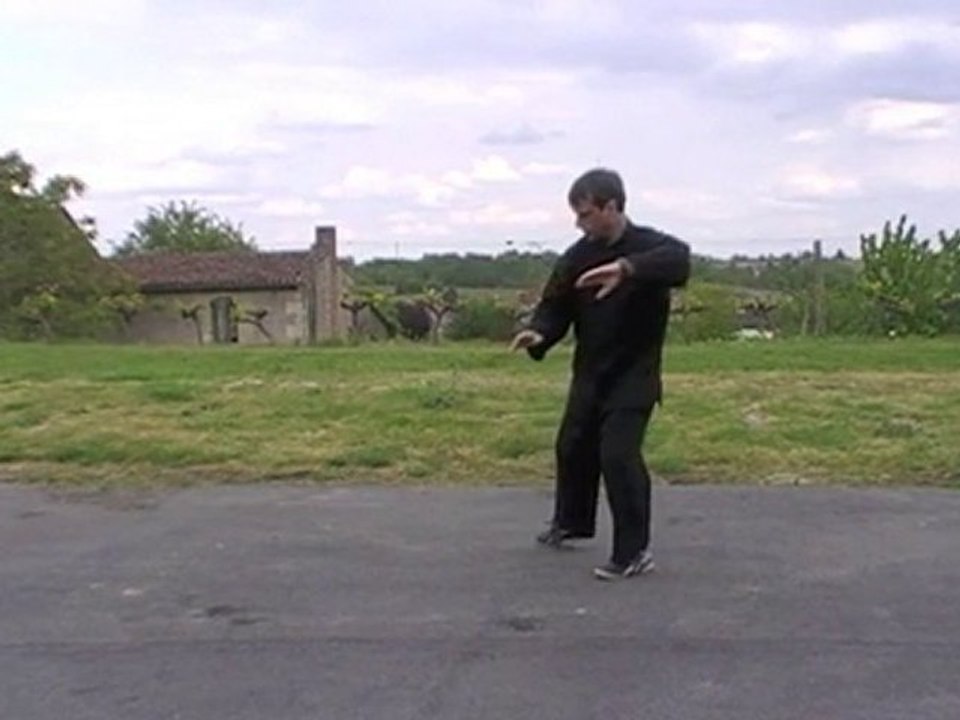 3° duan-2°part-Yangjia Michuan Taiji Quan