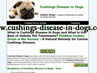 Cushings Disease in Dogs